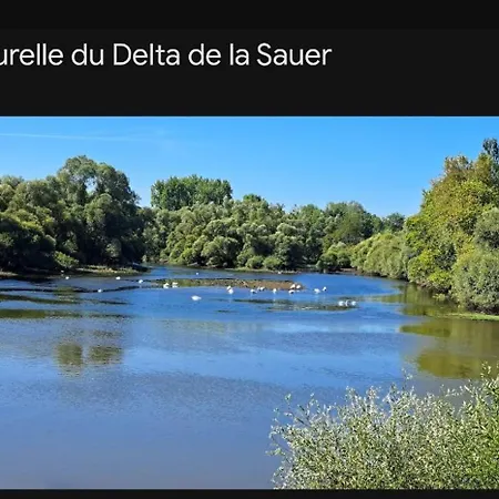 Apartamento Cataleya F1 Mothern